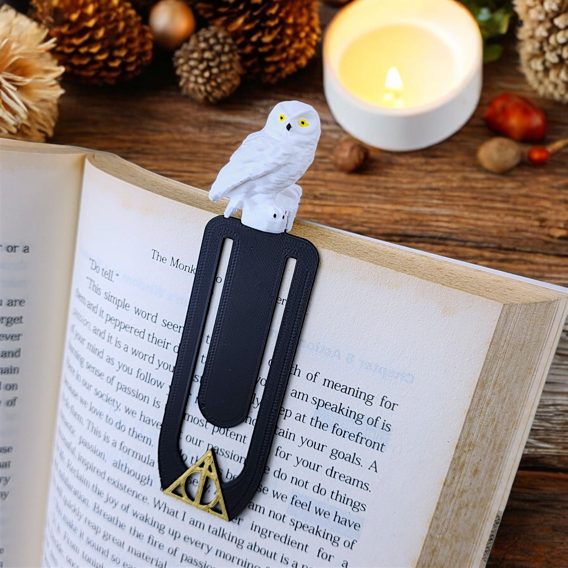 Vintage Wizard Reading Bookmark for Book Collection