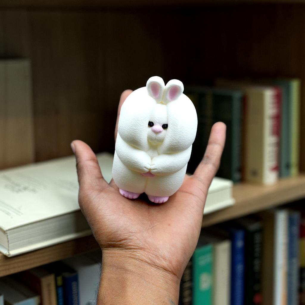 Shy Bunny Shelf Decor | Cozy Book Nook Accent